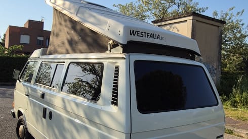 DANDY β VW T3 MITO SENZA TEMPO