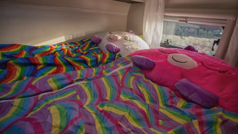 Oscar - Family Motorhome Hire