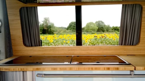 Daisy – 4 berth Volkswagen Camper Van (newly converted 2022)
