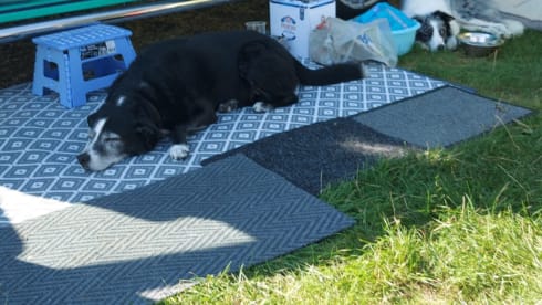 Scooby LWB – DOG FRIENDLY VW CAMPERVAN WITH ALL THE EXTRAS  FOR A GREAT HOLIDAY