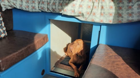 "Bod Campervan"  Luxury, Perfect for Two! (Staffs/N.Wales)
