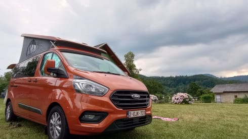 Nugget – Ford Nugget 2023