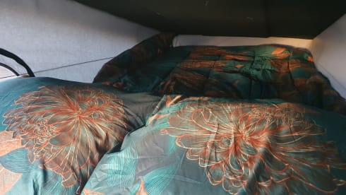 DreamCatcher – 4p Volkswagen camper van from 2025 - many extras included