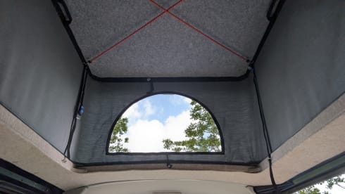 Volkswagen T5. May in all cities!