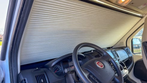 Witte Vlegel – Mclouis Menfys Matic 