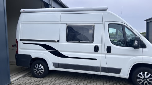 2p Peugeot bus uit 2010