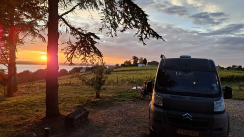 Otto – Go on an adventure with Otto