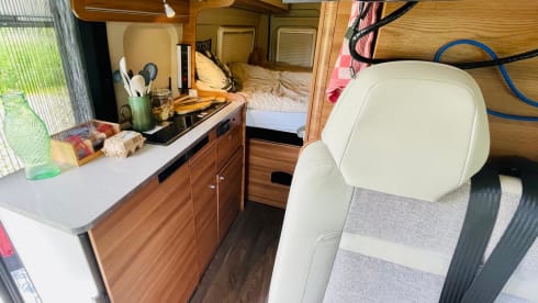 Tourer 6.4 – 2p Carado bus from 2019