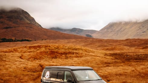 Rogue Two – Meet 'Rogue Two' - he's an absolute beauty (VW T6)