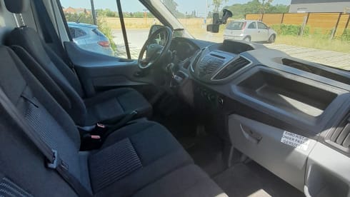 Findus  – characterful ford transit self-build (3 persons)