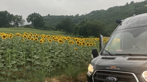 2p Ford bus uit 2023