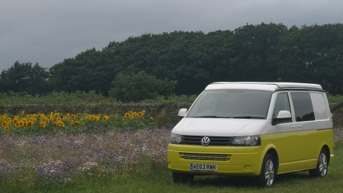 Daisy – 4 berth Volkswagen Camper Van (newly converted 2022)