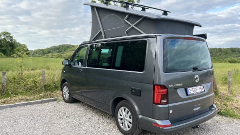4p Volkswagen campervan uit 2024