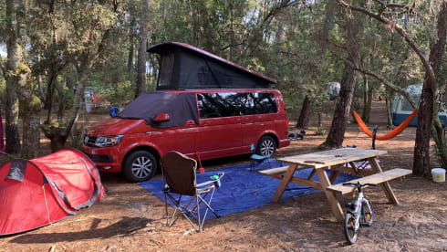 Tracey – Big VW Transporter - sleeps 4 + a child