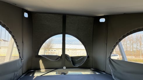 bear hunter – 4p Volkswagen California T5 bus 