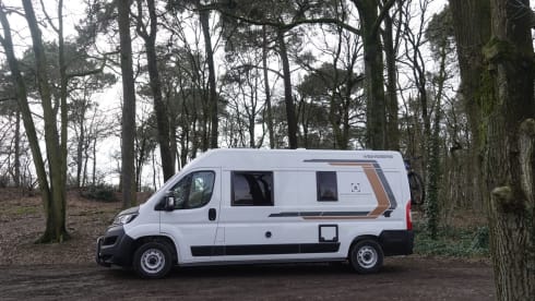 X-790-VR – 3p Other bus from 2022