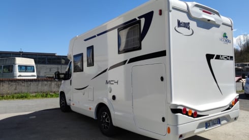 MC4 - 239 – MCLOUIS MC4 331