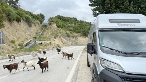 Dreamer – Dreamer Rapido Family Van Select 250