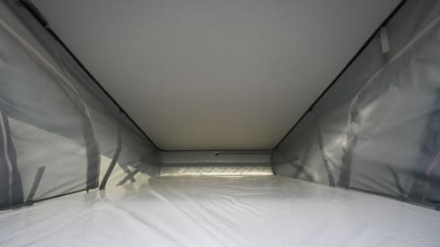 4p Other bus uit 2024
