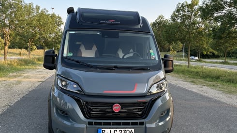 Rollerteam Livingstone Duo Xl