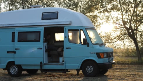 Miss Moneypenny (Burgau, Lagos, Algarve, Portugal)