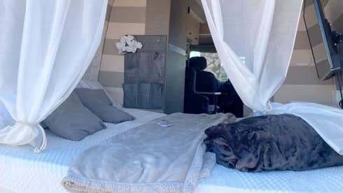 splendido van comodo e compatto