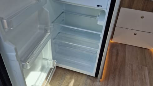Witte Willem – 2p Peugeot bus uit 2016