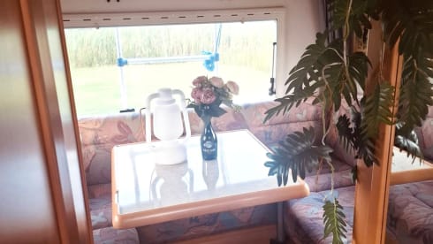 Willemien – Enjoy this characterful Hymer camper!