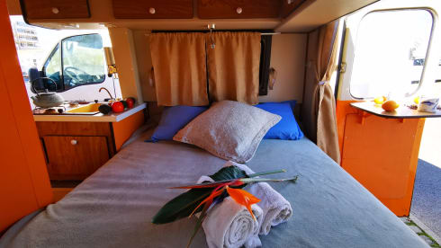 Laranja – Rent a  Blue Classics’s Combi J9