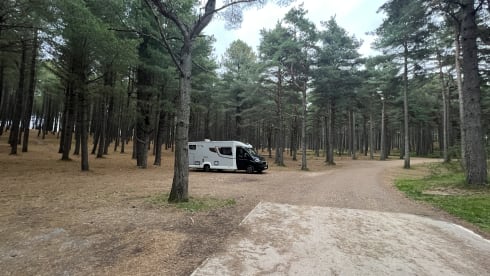 4 berth Peugeot semi-integrated from 2019