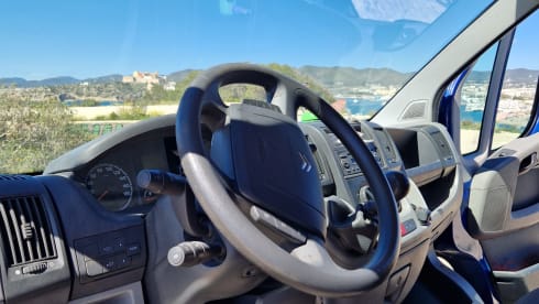 Palmtree – Spaceious Citroën Jumper