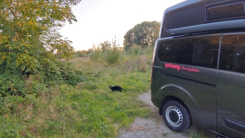 Compact Camper Westfalia Ford Nugget PLUS Automatic WITH WC