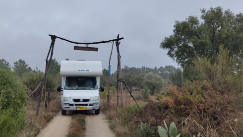 Perfecte reisgenoot voor het gezin 