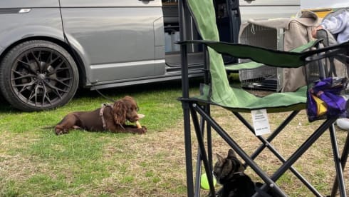 Christian – 4 berth Volkswagen campervan