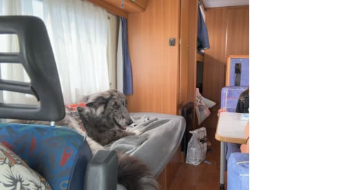 Noleggio Camper 7 Posti - Spazioso e Confortevole!