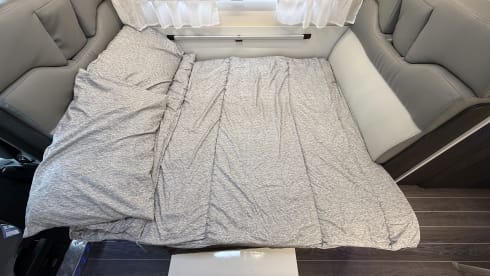 Forest – 6 berth Roller Team  675 Auto