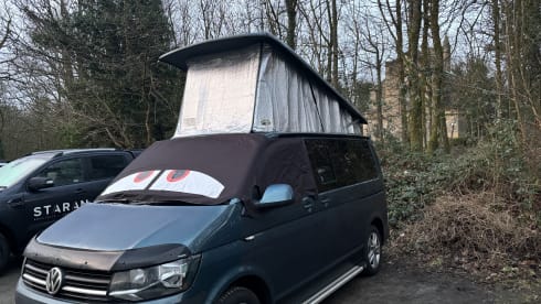 Bamboo Buck – Hashtagcampeurs 