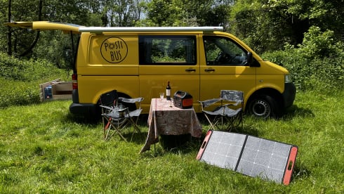 Pippin – VW T5 Postbus 