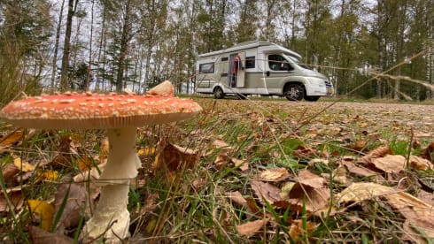 Neat, complete and comfortable family camper
