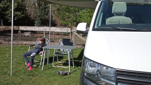 4p Volkswagen california coast from 2017