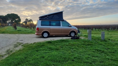 BATmobiel :) – VW California T6.1 with parking heater