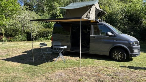 3p Volkswagen rooftop uit 2018