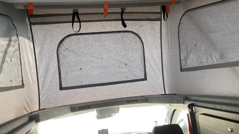The jammy Dodger – 4 berth Volkswagen camperKing Monte  Carlo 2121