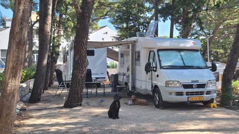 Bürstner Family Camper 4 persons, with bicycle carrier.