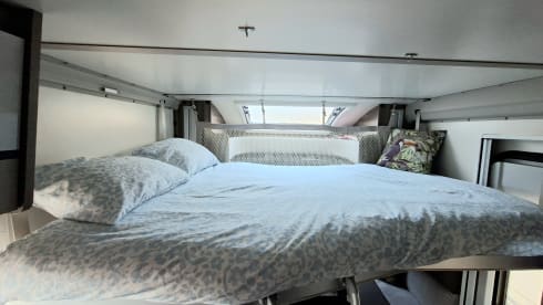 5p Roller Team semi-integrated uit 2025