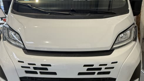 2p Fiat bus from 2026