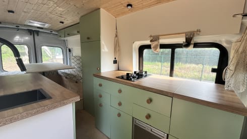 Poppy – Ford Campervan (2019) 2p + huisdier