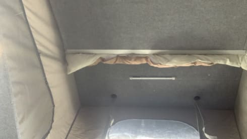Bluebell – VW T5 pop top 4 posti letto.