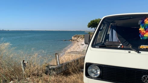 Sagittarius  β The Turbo-Slow Sagittarius