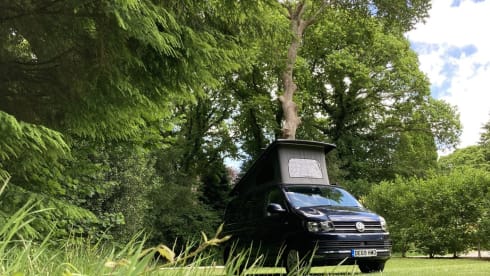 Ruthern –  VW T6  beautifully converted by Ecowagon.  Pitch available